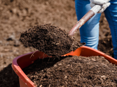 Commercial Composting: Pros, Cons, and When You Still Need a Dumpster